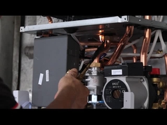 OEM वैरिएबल बैलेंस्ड फ्यू वॉल हैंग गैस बॉयलर होम बिजनेस के लिए