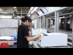 पर्यावरण के अनुकूल दीवार लटकने वाला गैस बॉयलर